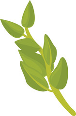 Spice oregano icon cartoon vector. Herb leaf. Garden kitchen