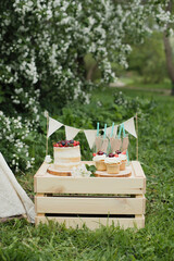Summer birthday, decoration in the garden. Cupcake cakes with berries on a wooden box.