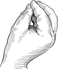 Close-up of hand gesture with pinched fingers: what do you want ?, concept of so much, Italian gesture. Black and white vector illustration.