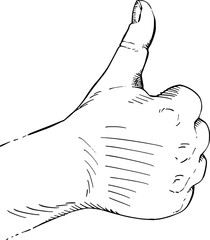 Close-up of closed hand with thumb up. Black and white vector illustration,  back view. 