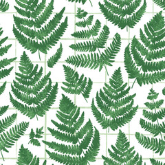 Green fern on green checkered background, pattern illustration
