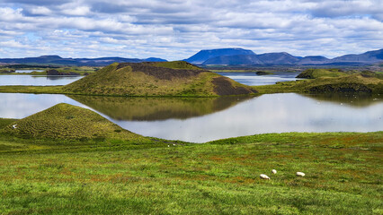 Rural landscape of lake Myvatn in Iceland