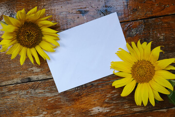 Greeting card mockup on wooden background with sunflowers. Empty envelope and place for text. Greeting card. Postal service. Yellow flowers on wooden background