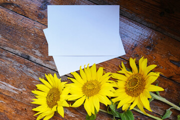 Greeting card mockup on wooden background with sunflowers. Empty envelope and place for text. Greeting card. Postal service. Yellow flowers on wooden background
