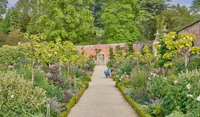 Fototapeta na wymiar Gardening in a walled garden with gravel path and traditional herbacious perennial planting in summer