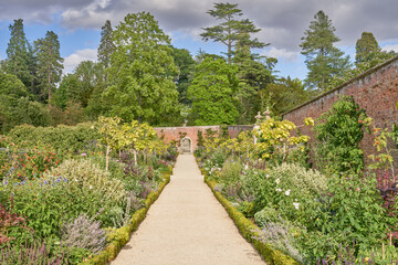 Fototapeta na wymiar Walled garden with gravel path and traditional herbacious perennial planting in summer