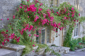 Pink roses groiwng over thewall of a traditional stone cottage in the Cotswolds