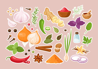 Spice and herb stickers. Vector set of kitchen herbs with vanilla, anise, ginger, cinnamon, curry, basil, garlic, bay leaves, pepper, rosemary. Popular indian spices for menu, pattern, background