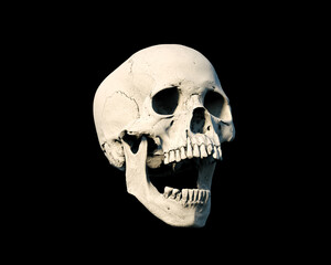The Anatomical right Human skull in full face on a black isolated background. Concept of death, horror. Spooky Halloween symbol, virus. print, poster. wallpaper. 3d render illustration.