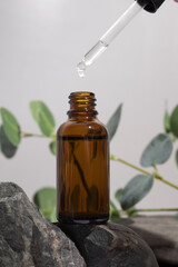 Cosmetic bottle serum, oil on stone stand with branch eucalyptus on grey background. Natural cosmetics concept, skin care product. Beauty concept for face body care