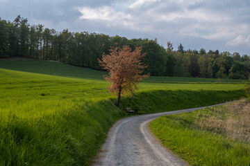 Country landscape in sunshine in Germany