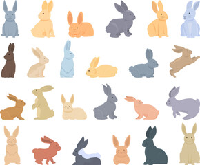 Rabbit breeding icons set cartoon vector. Animal bunny. Hare dutch