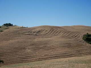 Obraz premium Valdichiana