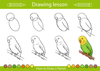Drawing tutorial. How to draw a budgie wavy parrot. Children education and activity page. Kids worksheet. Step by step art lessons. Vector illustration. - obrazy, fototapety, plakaty