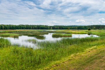 Fototapeta na wymiar Echo ponds in the Roztocze National Park. Zwierzyniec, Poland