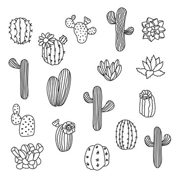 Cacti and Succulents Clipart, Houseplants, Potted Cactus Outline,