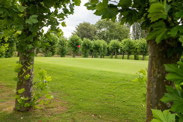 golf course with grass and clouds in the sky