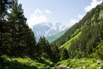 Pastoral landscape - green hillsides and high mountains with snowy peaks over a valley with alpine meadows on a clear sunny summer day in the Elbrus region in the North Caucasus in Russia