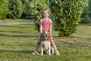 little white girl is playing with a beagle dog. photo shoot in summer on the street