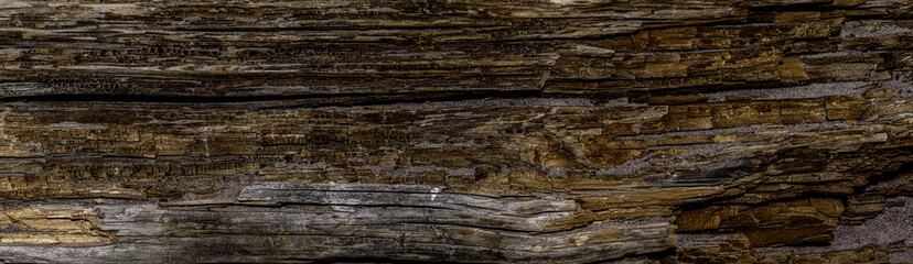 Panorama of an old dark rough wood floor or surface with splinters and knots. Horizontal parallel decking or boards with a wood texture.