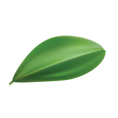 green leaf isolated on white