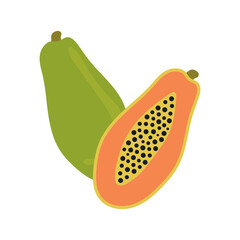 Flat icon papaya isolated on white background. Fruit icon. Vector illustration.