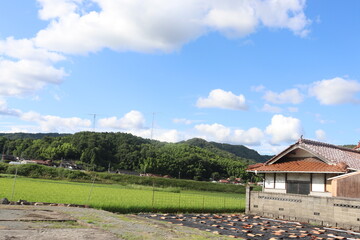 landscape with a house in the mountains