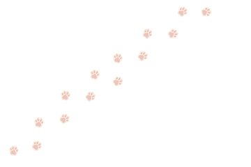 Paw vector foot print cat footprint. Dog, puppy silhouette animal diagonal tracks for T-shirts, backgrounds, patterns, websites, window designs, greeting cards, children's prints etc.