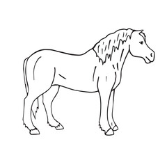 Vector hand drawn doodle sketch draft horse isolated on white background