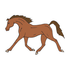 Vector hand drawn doodle sketch colored Arabian horse isolated on white background