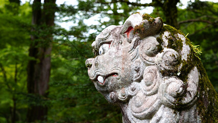 Fototapeta na wymiar 古い神社の狛犬
