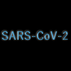 "SARS-CoV-2" - Wort, Schriftzug bzw. Text als 3D Illustration, 3D Rendering, Computergrafik