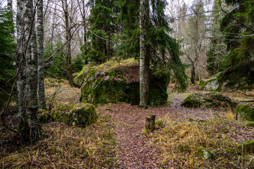 big Stone. stone path. beautiful forest and fresh air. walk along the trail through the forest