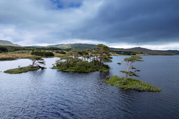 Small islands with trees in Connemara, Ireland. Irish landscape scene. Travel and tourism area. Aerial view. Blue cloudy sky