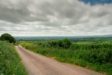 Fototapeta na wymiar Small road and agricultural land in county Tipperary, Ireland. Irish rural landscape. Green grass fields and hills. Cloudy sky. Agriculture and food supply industry. Country side with meadows.