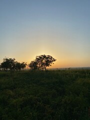 sunset in the serengeti