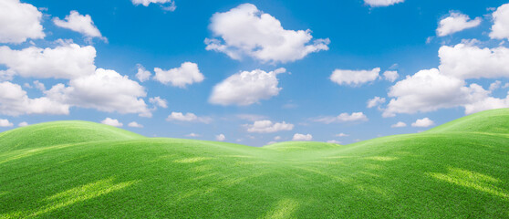 Panoramic view to grass  and blue sky with light clouds,Image of green grass field and bright blue...