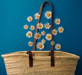 daisies fall into a straw bag