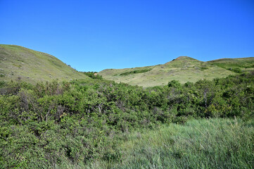 Fototapeta na wymiar lush green hillside with bushes in the lower valley 