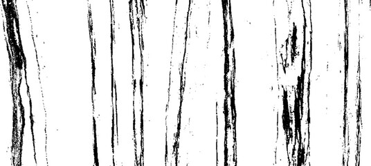 Slim lines texture. Parallel and intersecting lines abstract pattern. Abstract textured effect. Black isolated on white background.Vector illustration. EPS10.