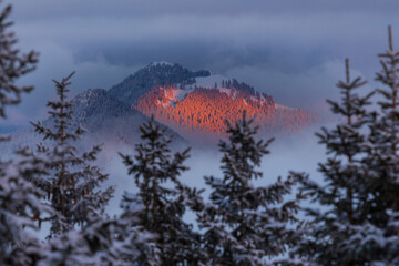 Colorful winter sunset in the Alps, above the inversion and clouds