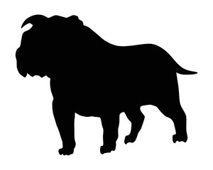Dog silhouette, bulldog breed. Side view pet stand icon in black color. Make used for dog show, competition, pet store, guide dog, dog walking. Domestic animal isolated on white background