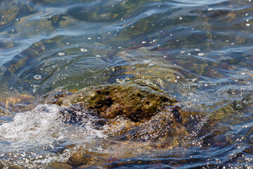 Waves hit a rock in the sea