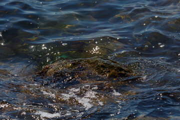 Waves hit a rock in the sea