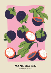 Vector illustration poster with mangosteen fruits. Art for postcards, wall art, banner, background.