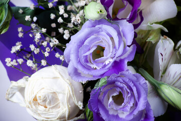 Fresh violet rose flowers bouquet close up with selective focus. Close up flower bouquet background. Shallow DOF.