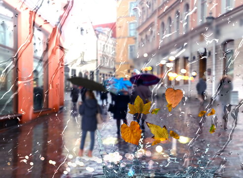 rain city  Autumn leaves  cold weather rainy drops on window and people silhouette with umbrellas night  traffic  light blurred reflection cold season view from window glass vitrines Tallinn Old Town 