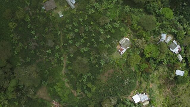 Monta&ntilde;as Cafeteras de Santa Fe de Antioquia, Antioquia, Colombia.