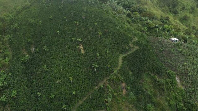 Monta&ntilde;as Cafeteras de Santa Fe de Antioquia, Antioquia, Colombia.