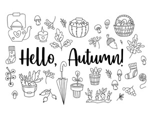 Hello autumn set hand doodles. wicker basket with mushrooms, picking vegetables, an acorn and mushrooms, flowerpot and an umbrella, teapot with cup and knitted socks. Vector Isolated outline elements.